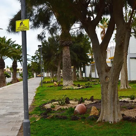 In Santa Cruz De Tenerife, With Pool Access, Furnished Garden A Apartment Arona (Tenerife)
